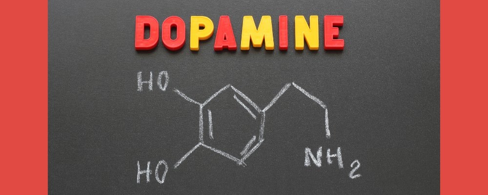 How Addiction Affects The Brain